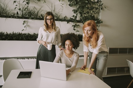 Cheerful professional multiracial women working and presenting data in modern office