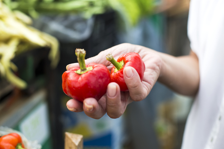 Woman holds red pepper in handsの写真素材