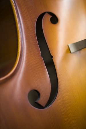 Closeup detail view at the upright bassの写真素材