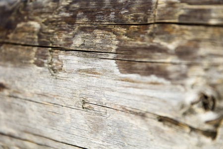 Closeup detail of the old wooden backdropの写真素材