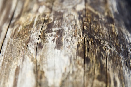 Closeup detail of the old wooden backdropの写真素材