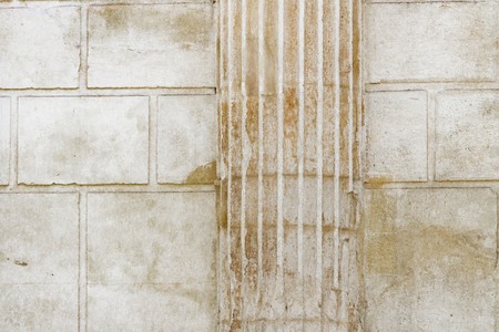 White classical columns and stone wall background