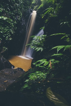 Detail of the Gitgit waterfall at Bali, Indonesiaの写真素材