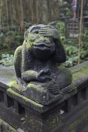 Ubud Monkey Forest sanctuary at Bali island, Indonesia