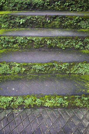 View at old stone stairs with moss and grass at sunny morningの写真素材