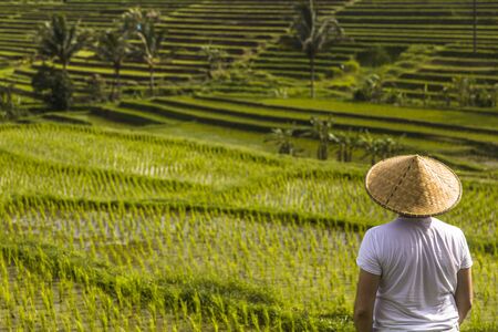 Man with traditional balinese cap at rice fields of Jatiluwih in southeast Bali, Indonesiaの写真素材