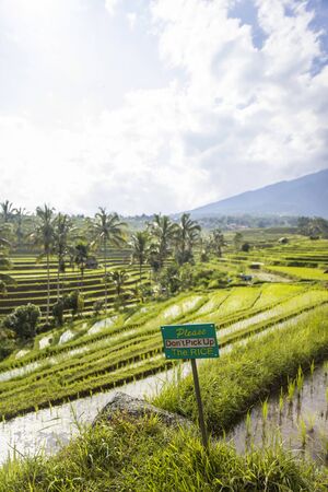 Tourists warning sign at rice  fields of Jatiluwih in southeast Bali, Indonesiaの写真素材