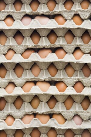 Pile of fresh chicken eggs in a cardboard package