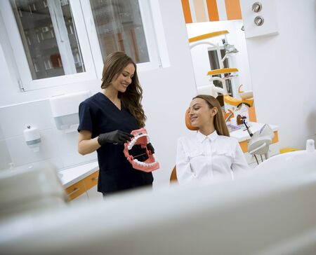 Pretty young female dentist explaining to female patient cleaning tooth procedure with toothbrush on a modelの写真素材