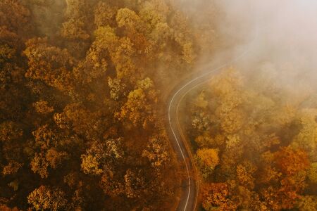 Aerial view of thick forest in autumn with a road cutting throughの写真素材