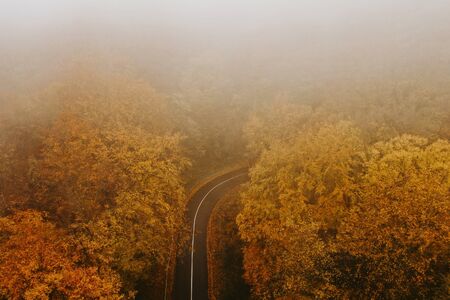 Aerial view of thick forest in autumn with a road cutting through