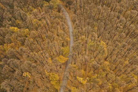 Aerial view of beautiful autumn forest road