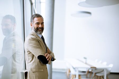 Portrait of handsome senior businessman in the office