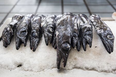 Fresh espada fish on traditional fish market in Funchal at Madeira island, Portugalの写真素材
