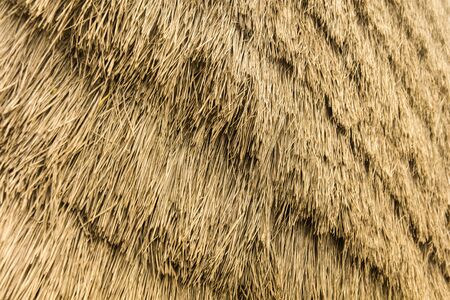Closeup of backdrop with thatched roof detail
