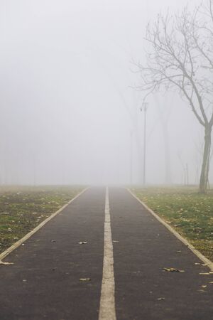 View at bike path in the foggy winter day