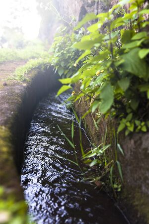 Closeup of the small irrigation channel at the farmlandの写真素材