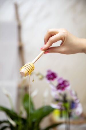 Young woman having a honey back massage at the spa salonの写真素材