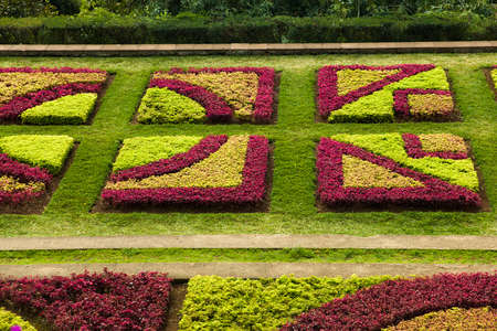 FUNCHAL, PORTUGAL - FEBRUARY 13, 2020: Detail of Madeira Botanical Garden in Fuchal, Portugal. Garden opened to the public in 1960 and have more than 345.000 visitors per year.のeditorial素材