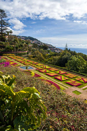 FUNCHAL, PORTUGAL - FEBRUARY 13, 2020: Detail of Madeira Botanical Garden in Fuchal, Portugal. Garden opened to the public in 1960 and have more than 345.000 visitors per year.のeditorial素材