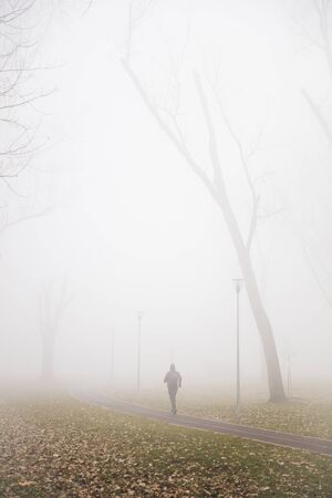 View at trees in the foggy winter dayの写真素材