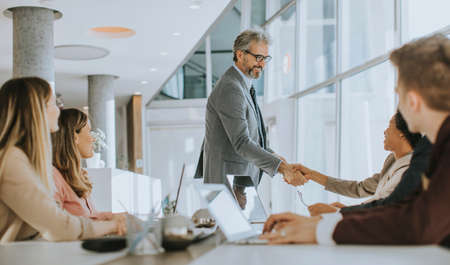 Mature businessman explaining strategy to group of multiethnic business people while working on new...