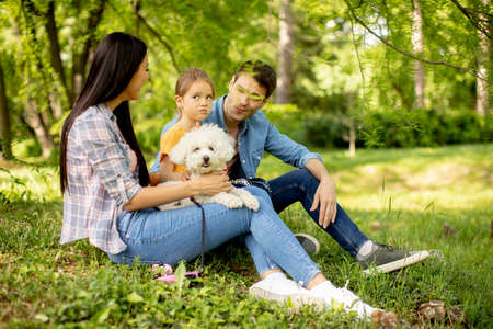Beautiful happy family is having fun with bichon dog outdoors in the park