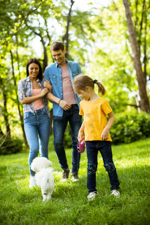 Happy young family with cute bichon dog in the park