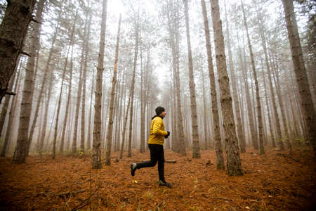 Handsome young man running in autumn forest and exercising for trail run marathon endurance raceの写真素材