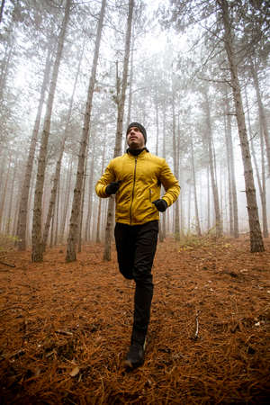 Handsome young man running in autumn forest and exercising for trail run marathon endurance raceの写真素材
