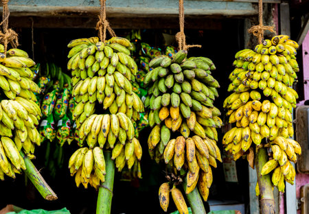 View at bananas on the fruit stand on a market at Sri Lankaの写真素材