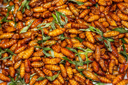 Closeup of the fried silkworms on the market in Bangkok, Thailandの写真素材