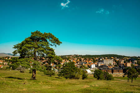 View at meadows on Zlatibor mountain in Serbiaの写真素材