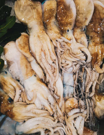 Closeup of the fresh squids on the seafood market