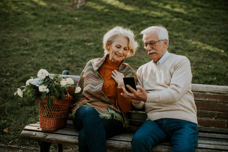 Handsome senior couple sitting on the bench with basket full of flowers and looking at mobile phoneの写真素材
