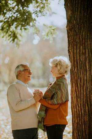 Handsome senior couple embracing in autumn park
