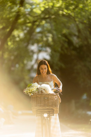 Pretty young woman with white bichon frise dog in the basket of electric bikeの写真素材