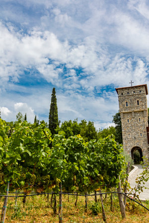 Detail of Tvrdos monastery and its vineyards in Bosnia and Herzegovinaの写真素材