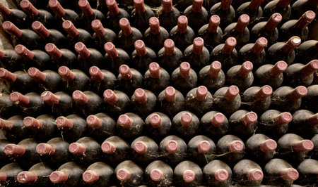 Closeup of the archive wine bottlesの写真素材