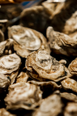 Closeup of the fresh oystrers on the marketの写真素材