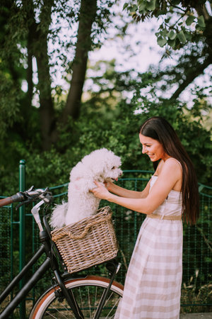 Pretty young woman putting white bichon frise dog in the basket of electric bikeの写真素材