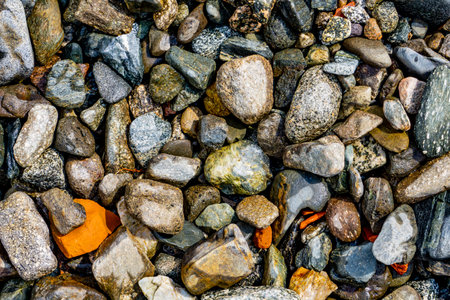 Closeup view at pebbles on the shore