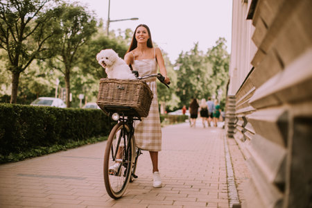 Pretty young woman with a bichon dog in a bicycle basket takes a leisurely rideの写真素材