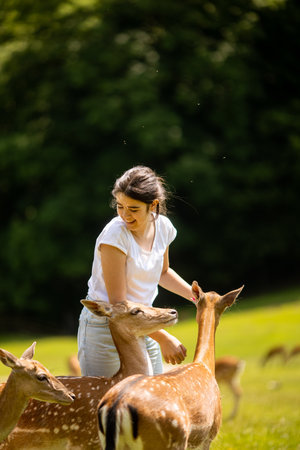 Cute little girl among reindeer herd on the sunny dayの写真素材