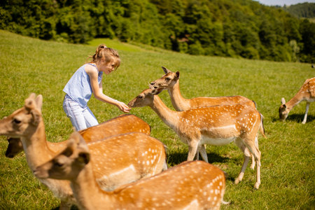 Cute little girl among reindeer herd on the sunny dayの写真素材