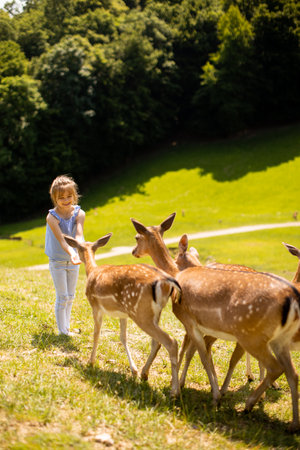 Cute little girl among reindeer herd on the sunny dayの写真素材