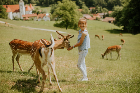 Cute little girl among reindeer herd on the sunny dayの写真素材