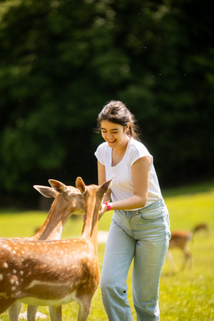Cute little girl among reindeer herd on the sunny dayの写真素材