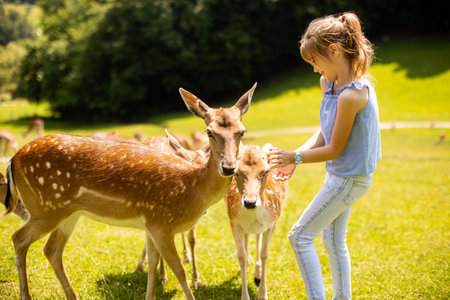 Cute little girl among reindeer herd on the sunny dayの写真素材