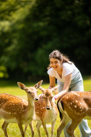Cute little girl among reindeer herd on the sunny dayの写真素材